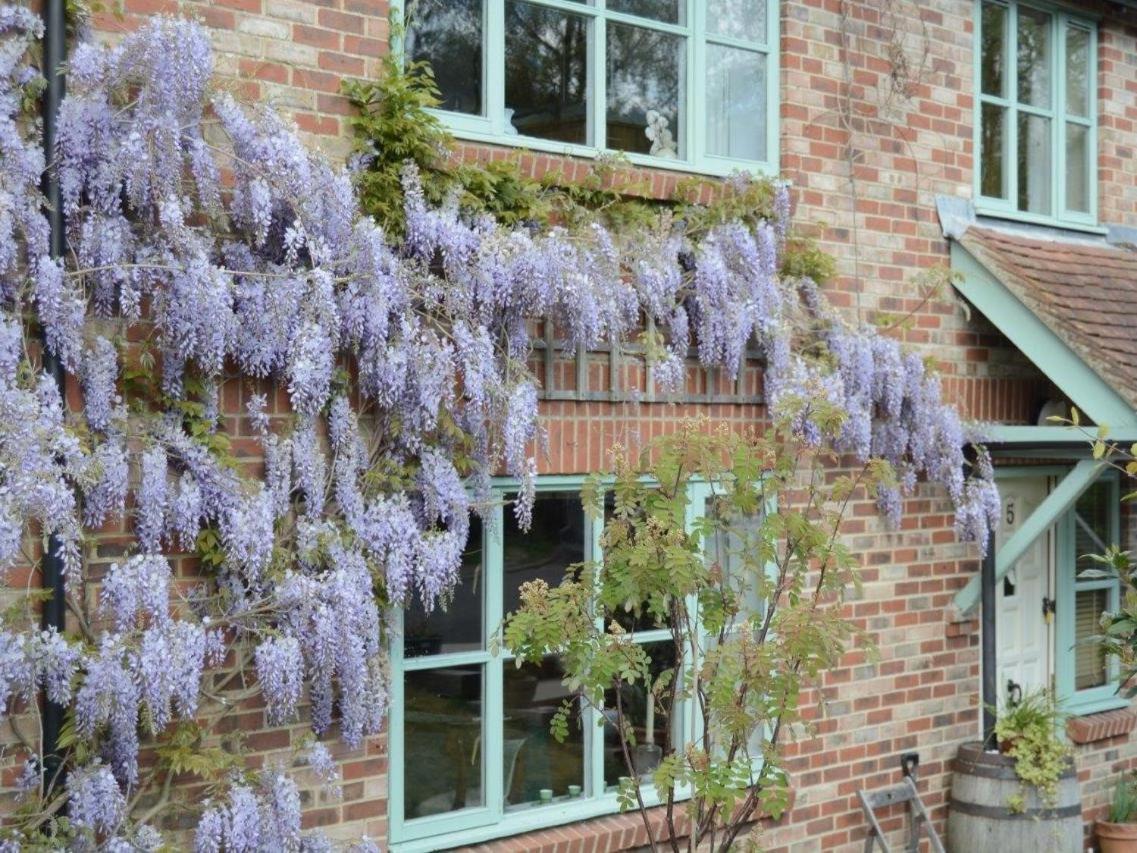 5 Charlton Mill Way B&B Chichester Exterior photo